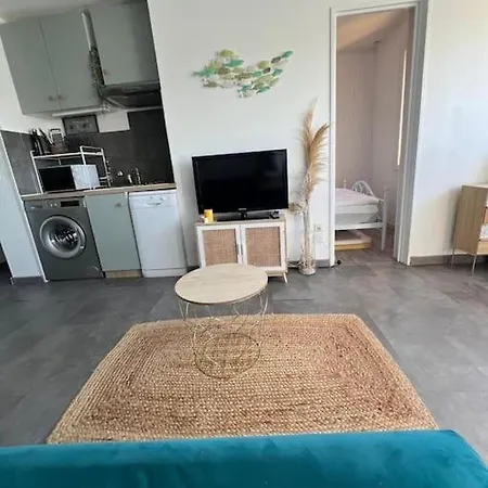 Vue Imprenable Tres Joli T2 Moderne Port * Лёкат